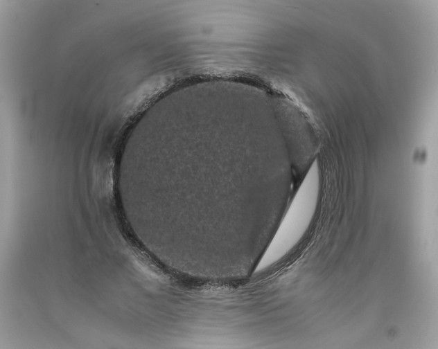 X0000091650685200709060959