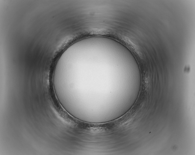 X0000091650686200709060959