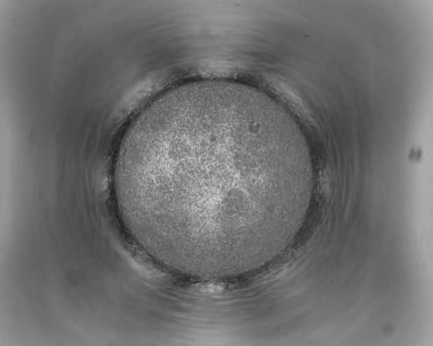 X0000091650687200709060959