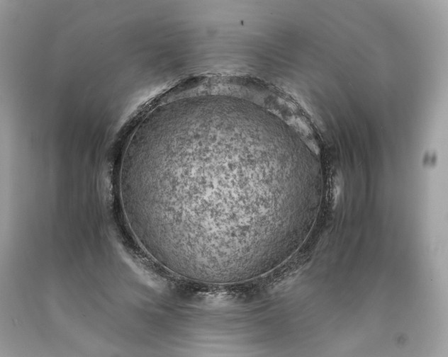 X0000091650688200709060959