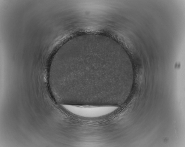 X0000091650689200709060959