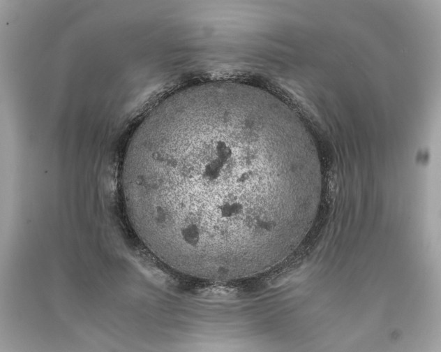 X0000091650691200709060959