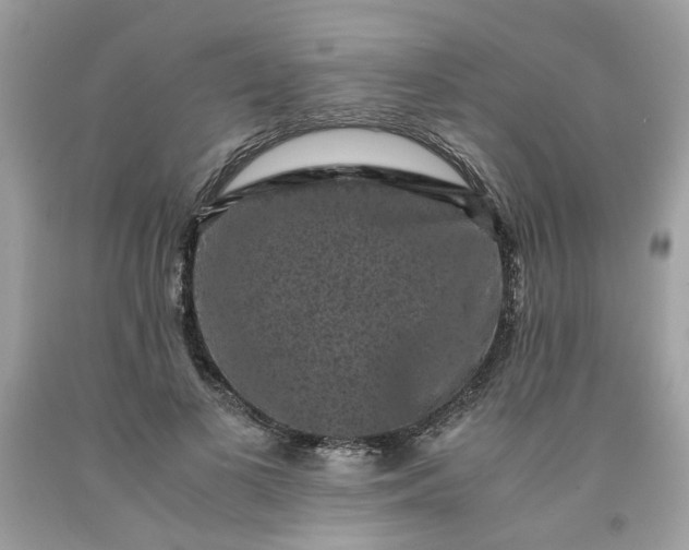 X0000091650693200709060959