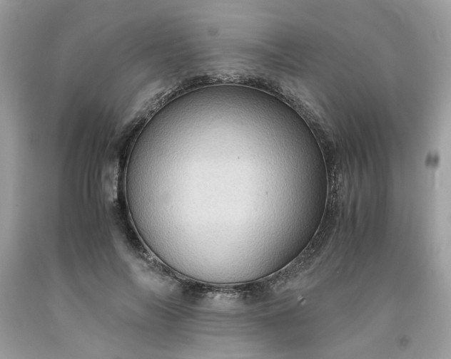 X0000091650694200709060959