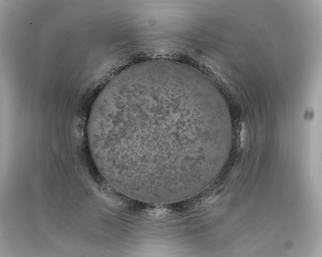 X0000091650695200709060959