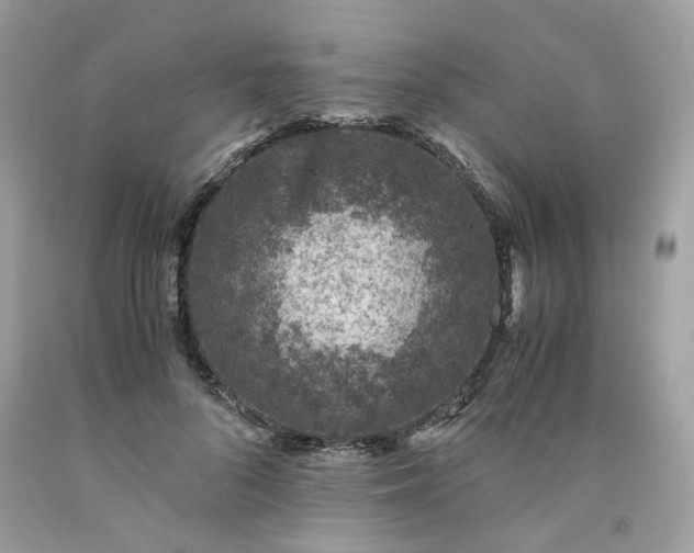 X0000091650696200709060959