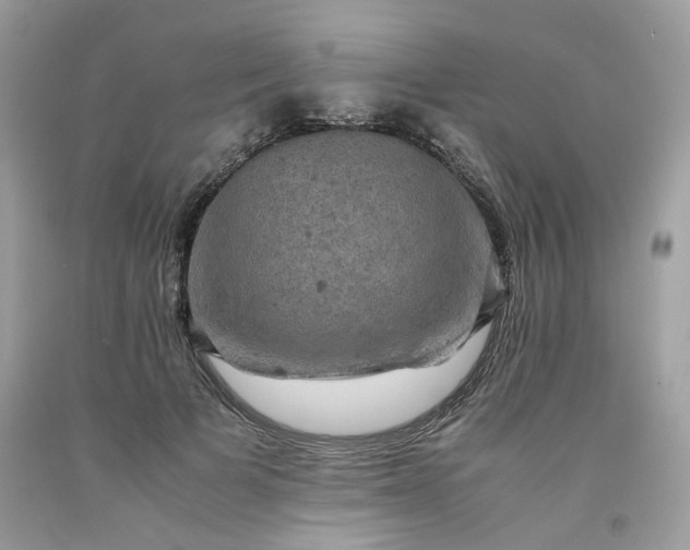 X0000091650697200709060959