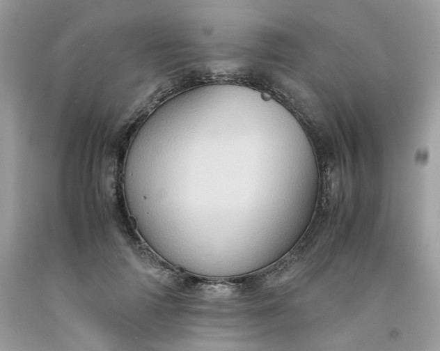 X0000091650698200709060959