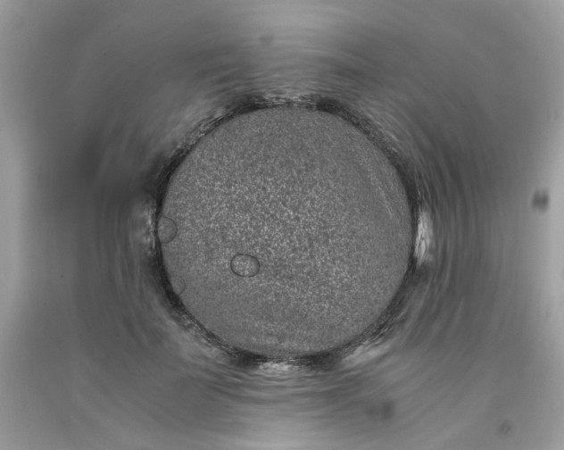 X0000091650699200709060959