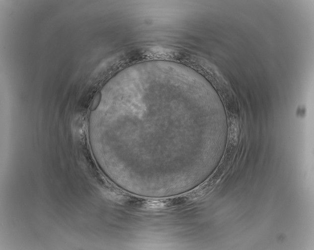 X0000091650701200709060959