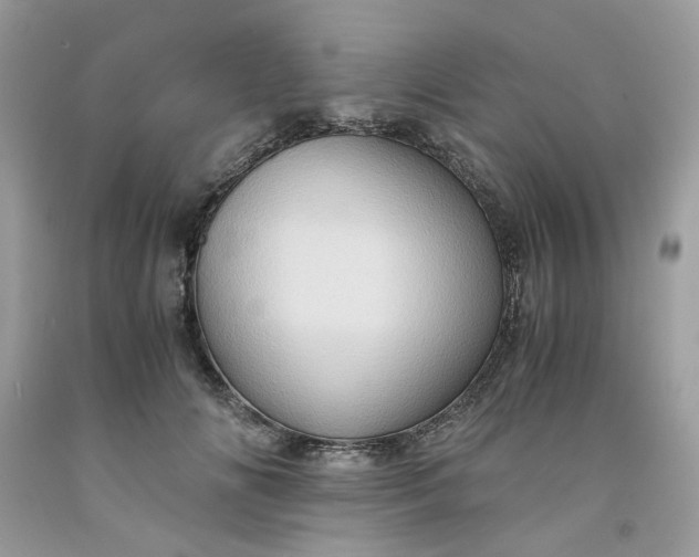 X0000091650702200709060959