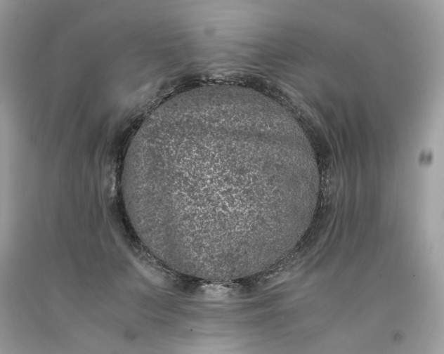 X0000091650703200709060959