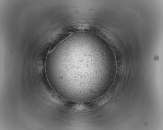 X0000091650704200709060959