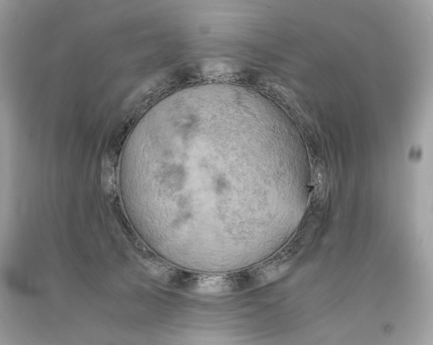 X0000091650705200709060959