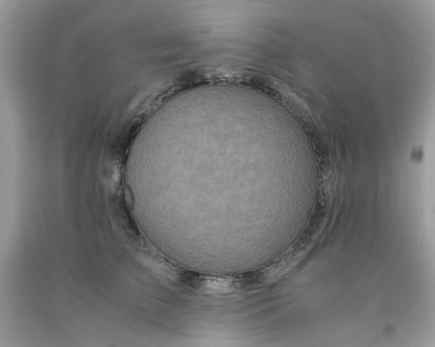 X0000091650709200709060959