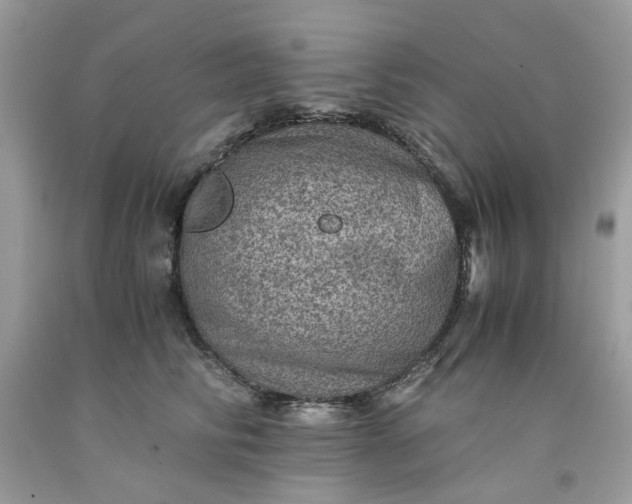 X0000091650710200709060959