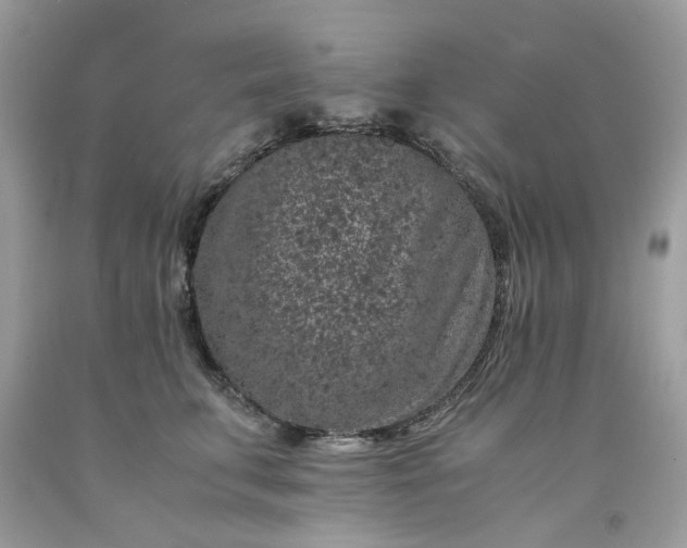 X0000091650711200709060959