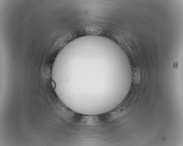 X0000091650713200709060959