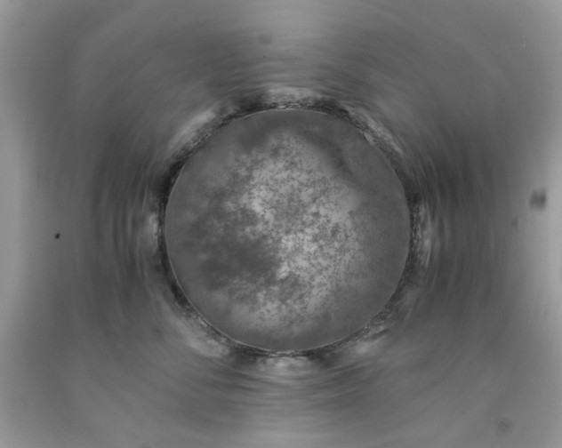 X0000091650716200709060959