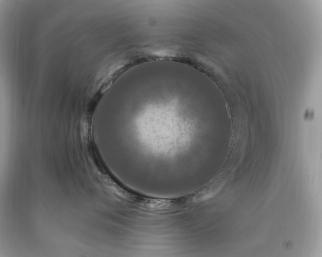 X0000091650720200709060959