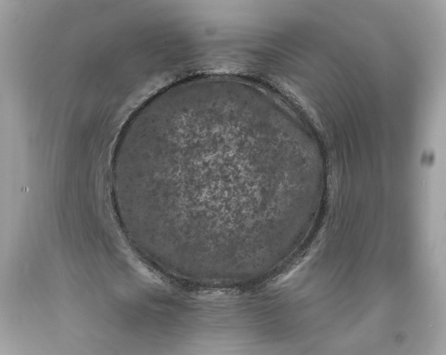 X0000091650721200709060958