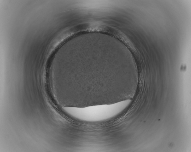 X0000091650722200709060958