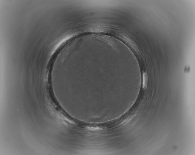 X0000091650723200709060958