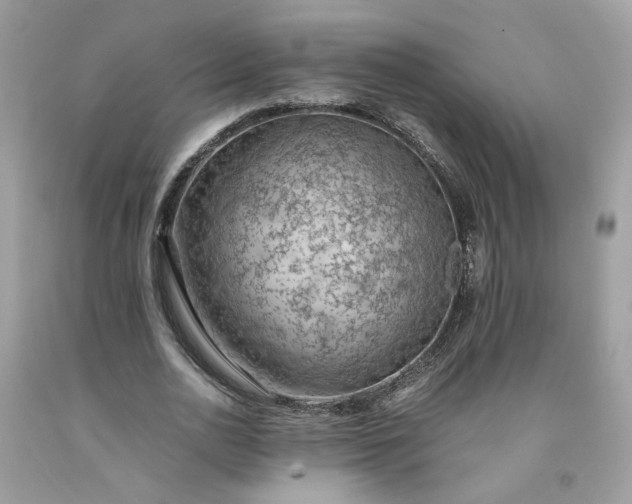 X0000091650726200709060958