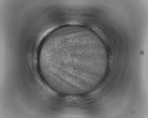 X0000091650727200709060958