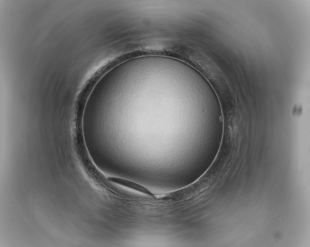 X0000091650728200709060958