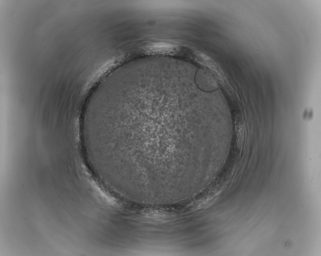 X0000091650729200709060958