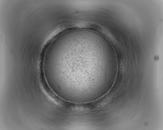 X0000091650730200709060958