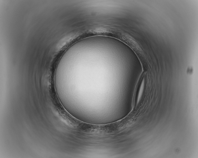 X0000091650732200709060958