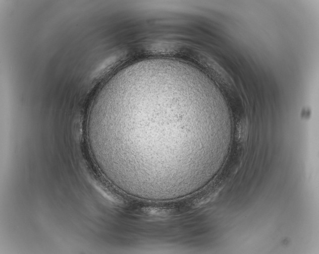 X0000091650733200709060958