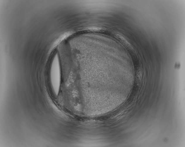 X0000091650734200709060958