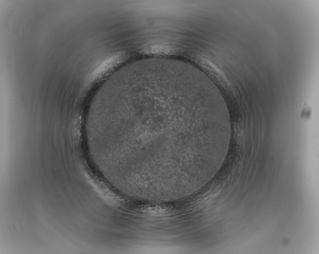 X0000091650735200709060958