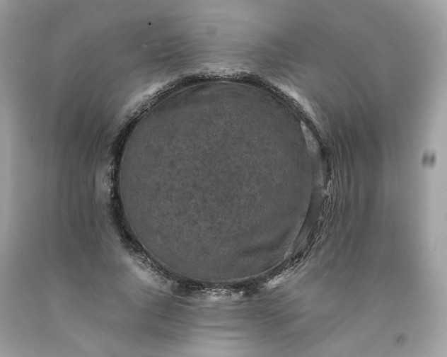 X0000091650736200709060958