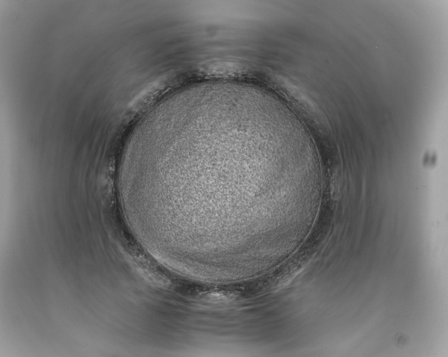 X0000091650737200709060958