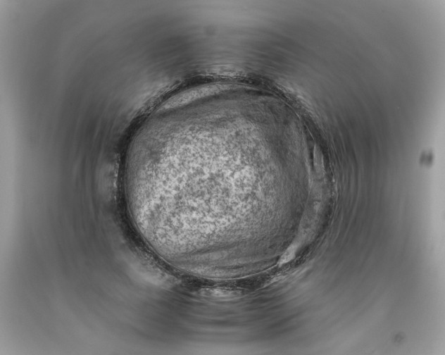 X0000091650739200709060958