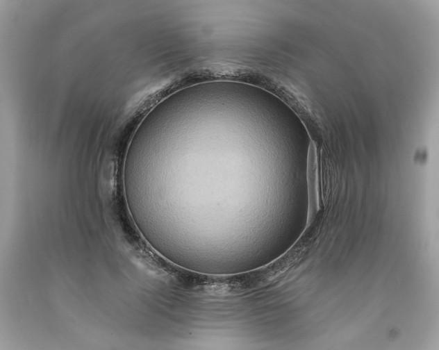 X0000091650740200709060958