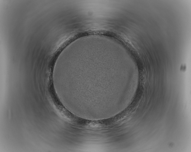 X0000091650742200709060958