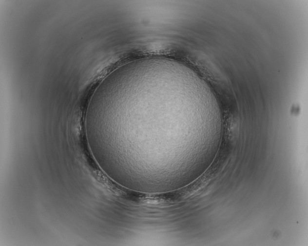 X0000091650746200709060958