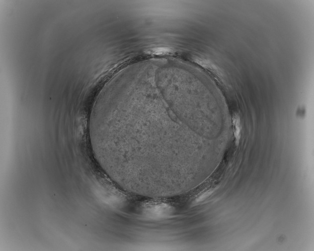 X0000091650747200709060958