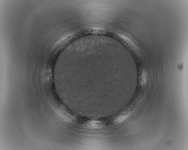 X0000091650748200709060958