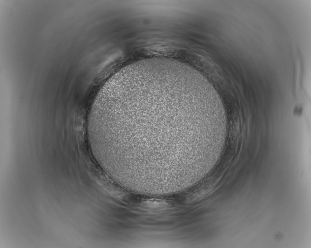 X0000091650749200709060958