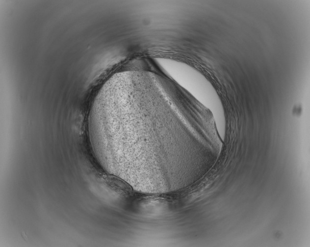 X0000091650750200709060958