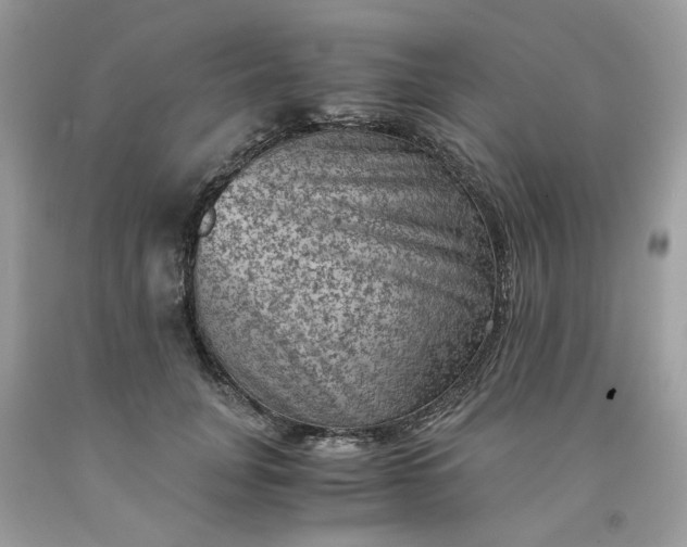 X0000091650751200709060958