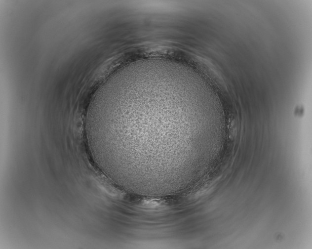 X0000091650753200709060958