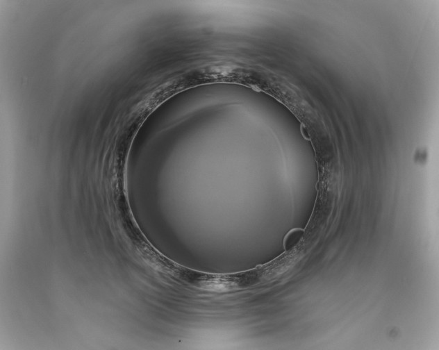 X0000091650754200709060958