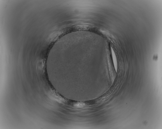 X0000091650759200709060959